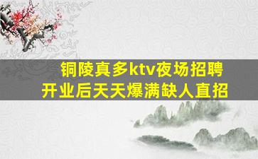 铜陵真多ktv夜场招聘开业后天天爆满缺人直招